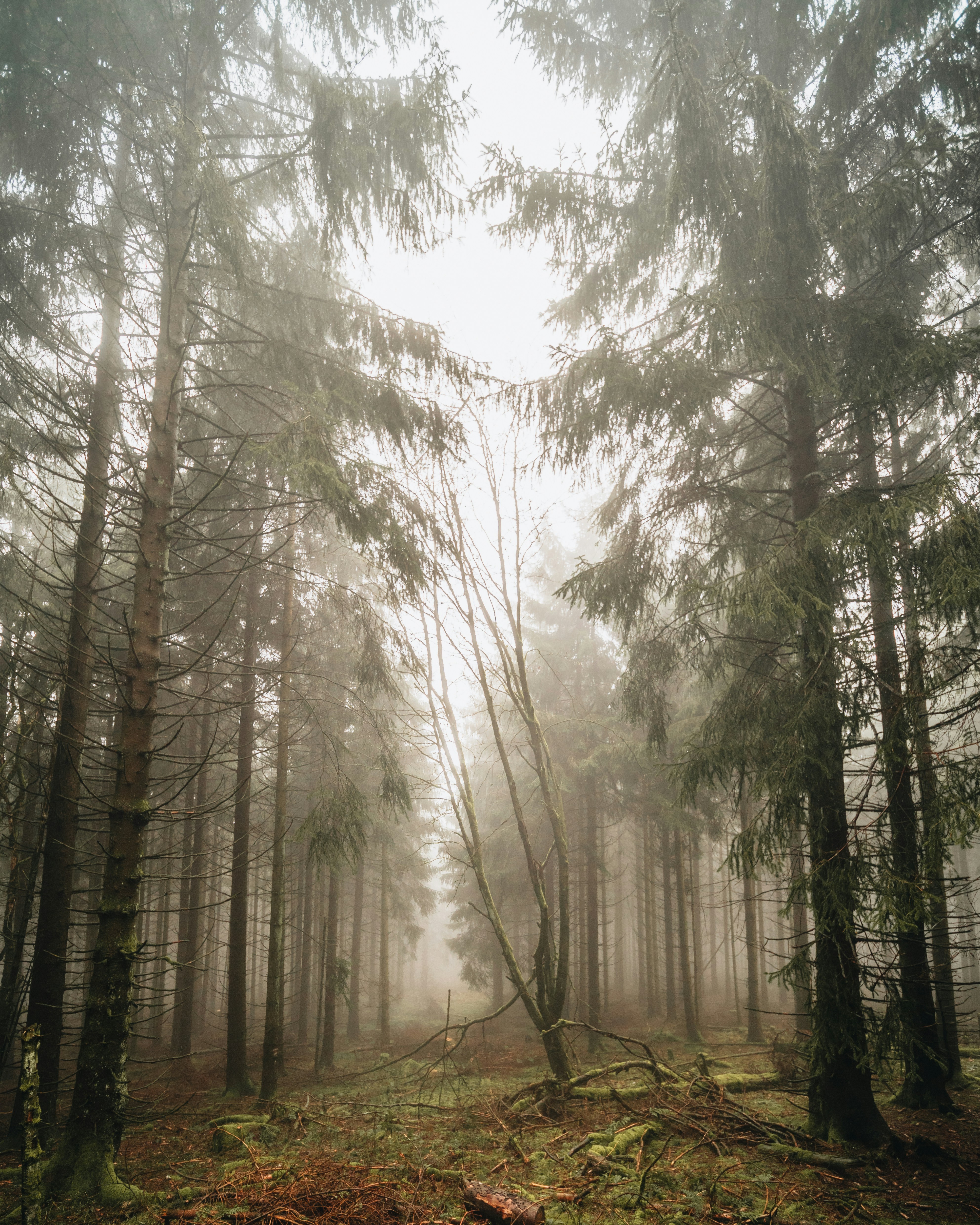 Photo by masoodaslami