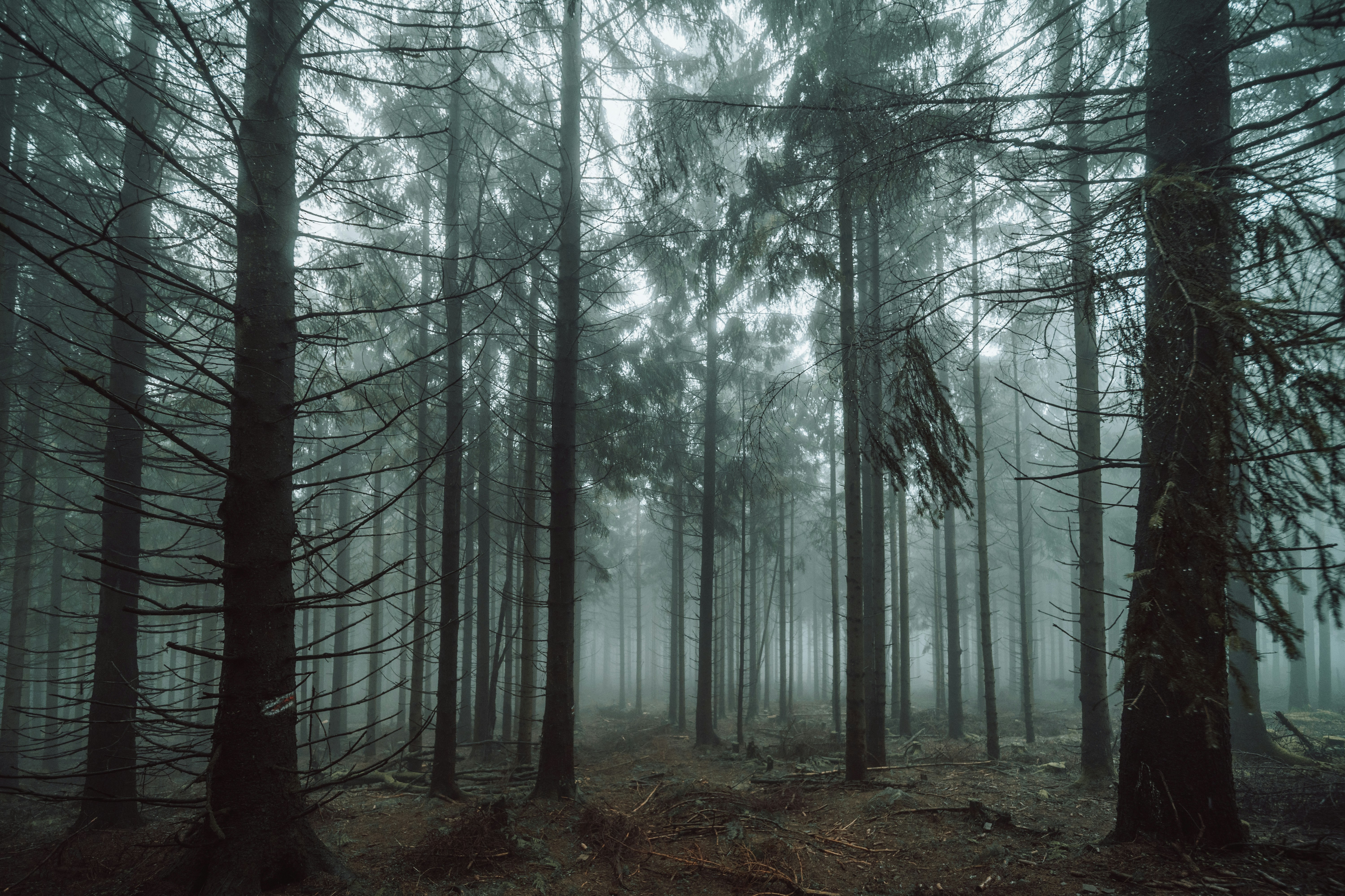 Photo by masoodaslami