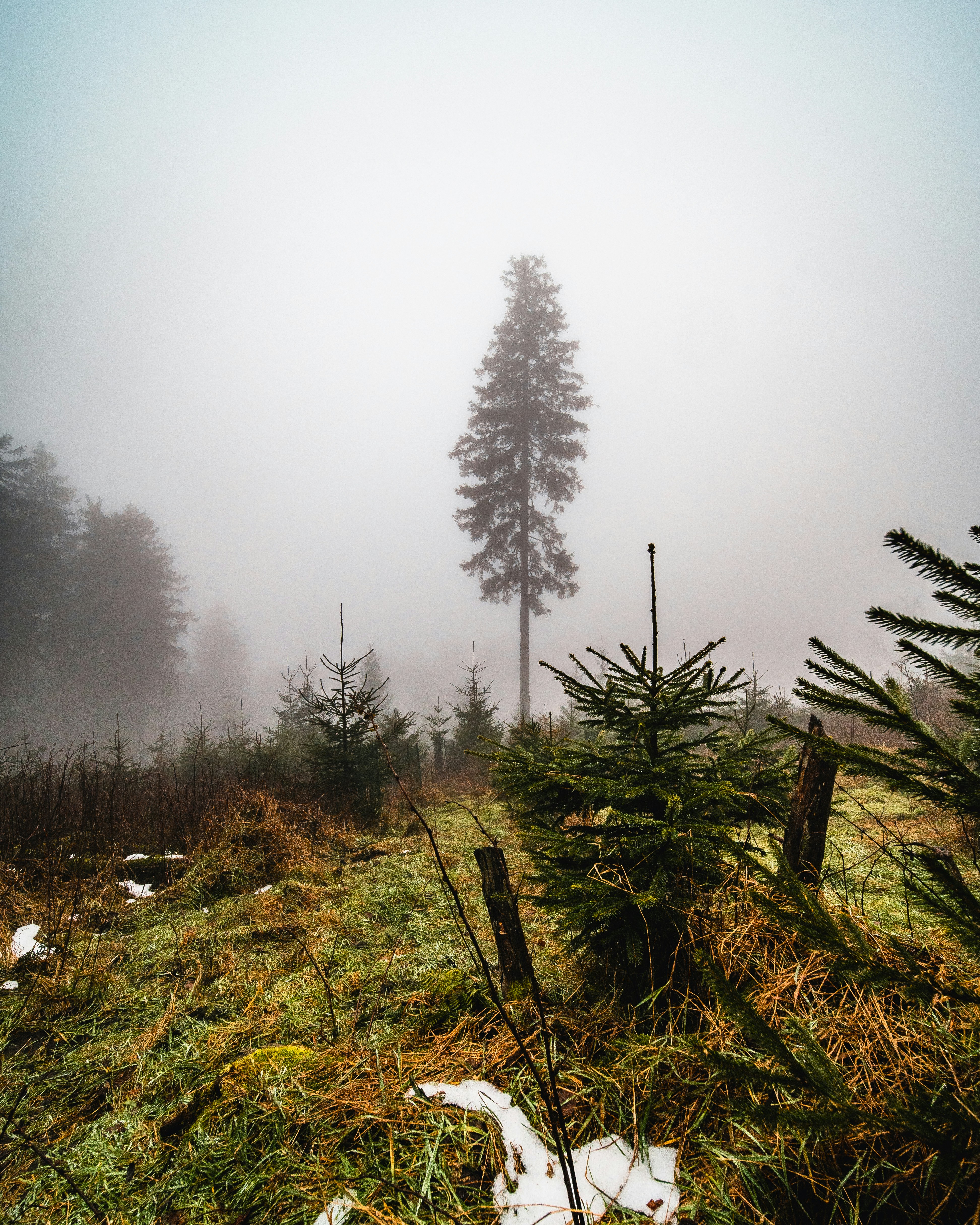 Photo by masoodaslami