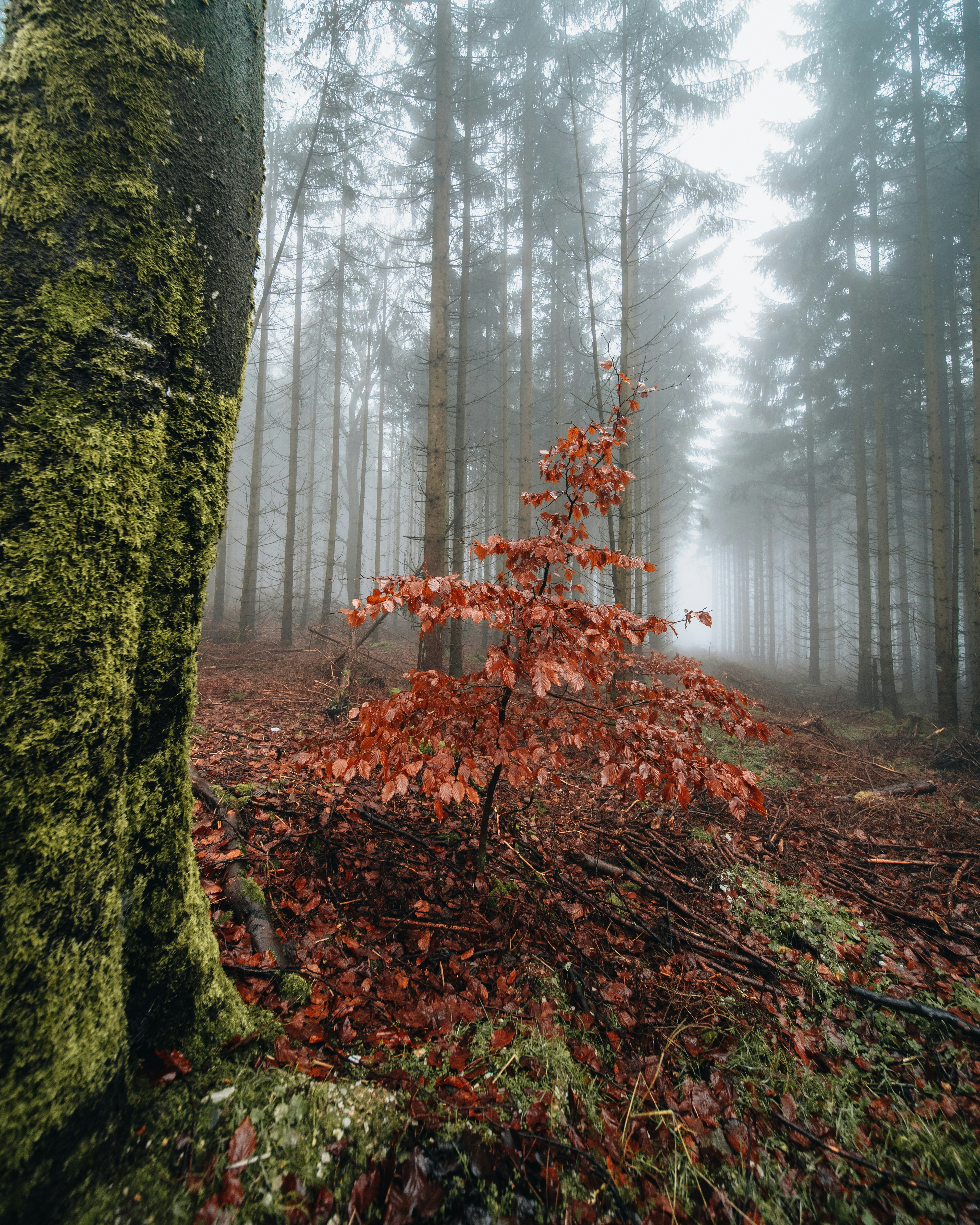 Photo by masoodaslami