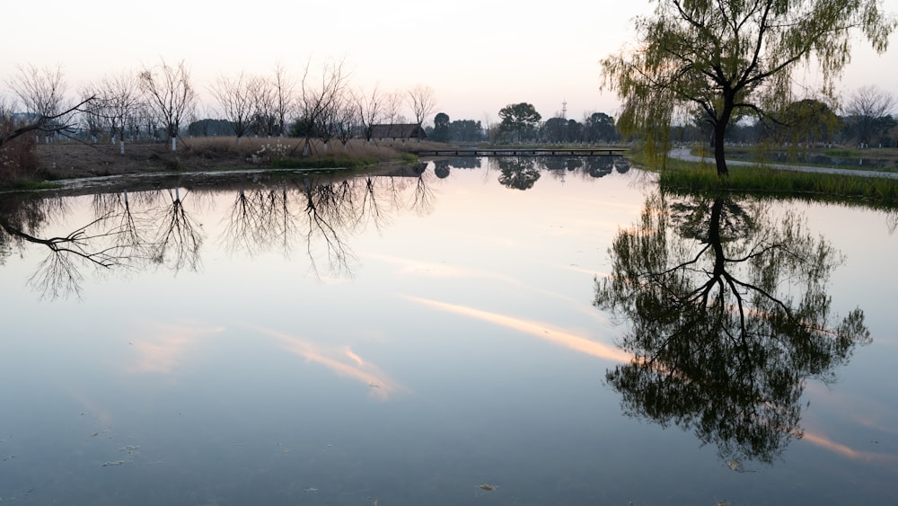 a large body of water surrounded by trees