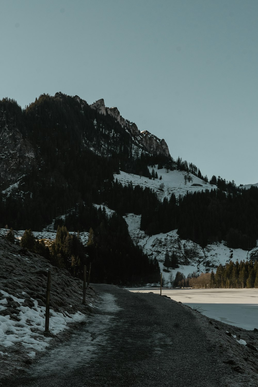 une montagne enneigée avec un lac et des arbres