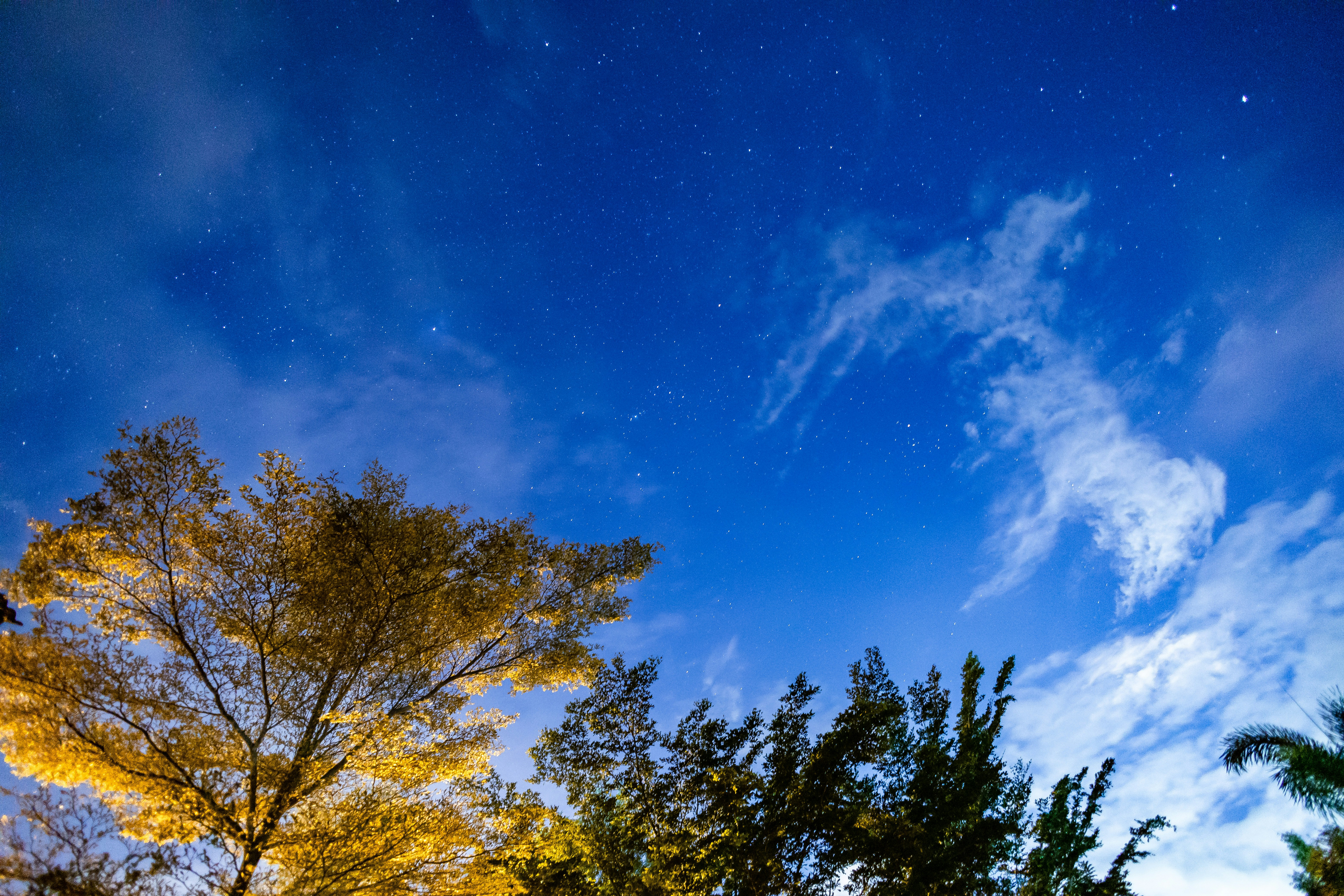 Photo by zubearasyraf