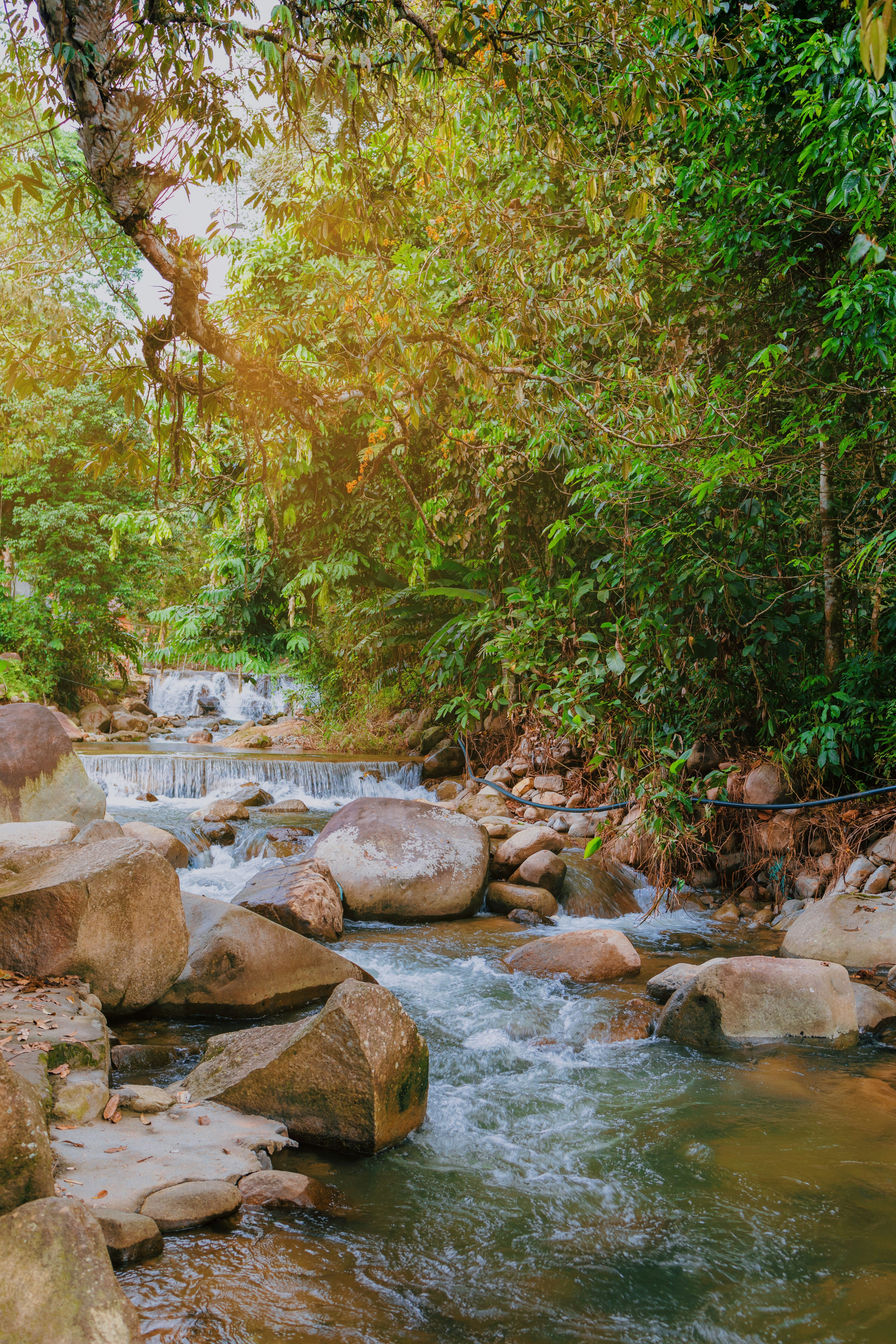 Photo by zubearasyraf