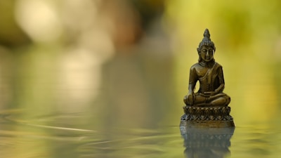 A close-up of a bronze lotus sculpture reflecting soft light.