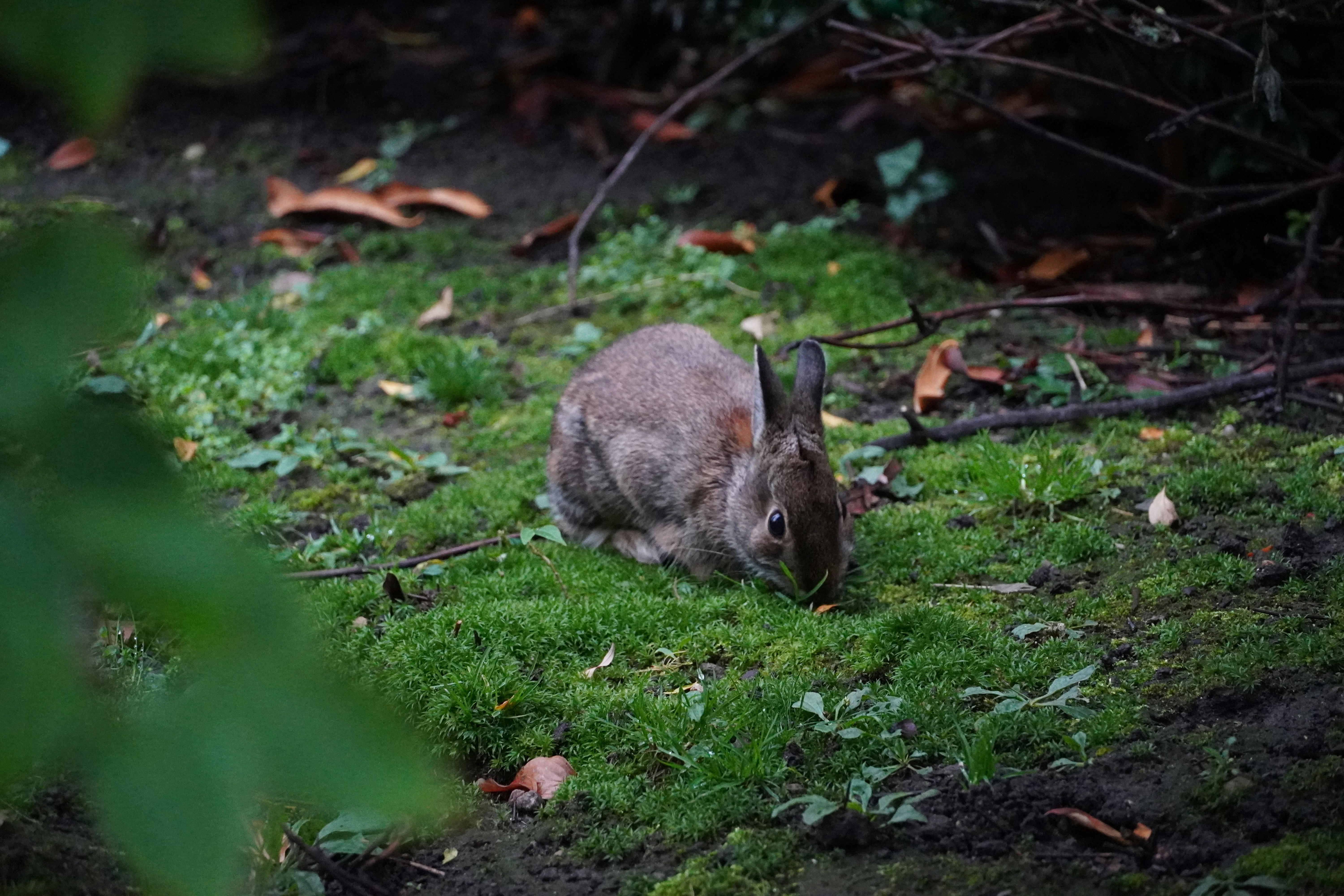 Photo by arpeetdesai12