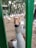 A close-up view of a goose peering through a green metal fence, with several other geese in the background on a sandy ground. The scene is set in a park-like environment with trees.