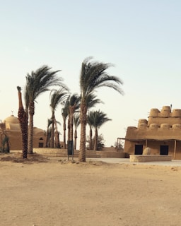 A desert scene with several palm trees and traditional mud-brick architecture. The buildings feature domed roofs and are surrounded by sandy terrain.