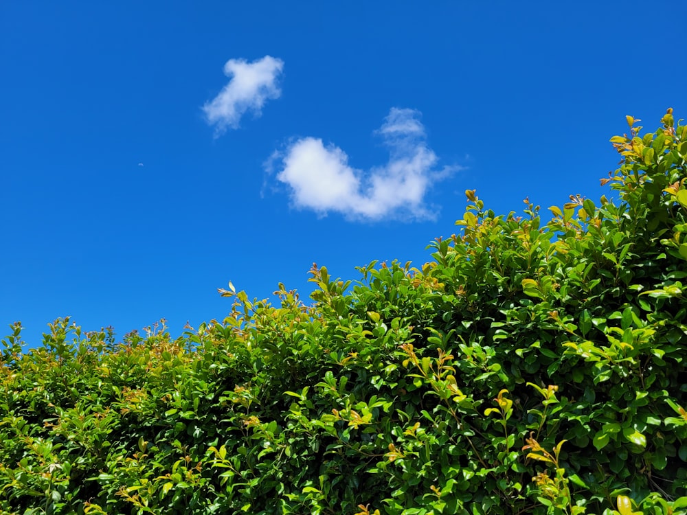 a blue sky with some clouds in the middle of it