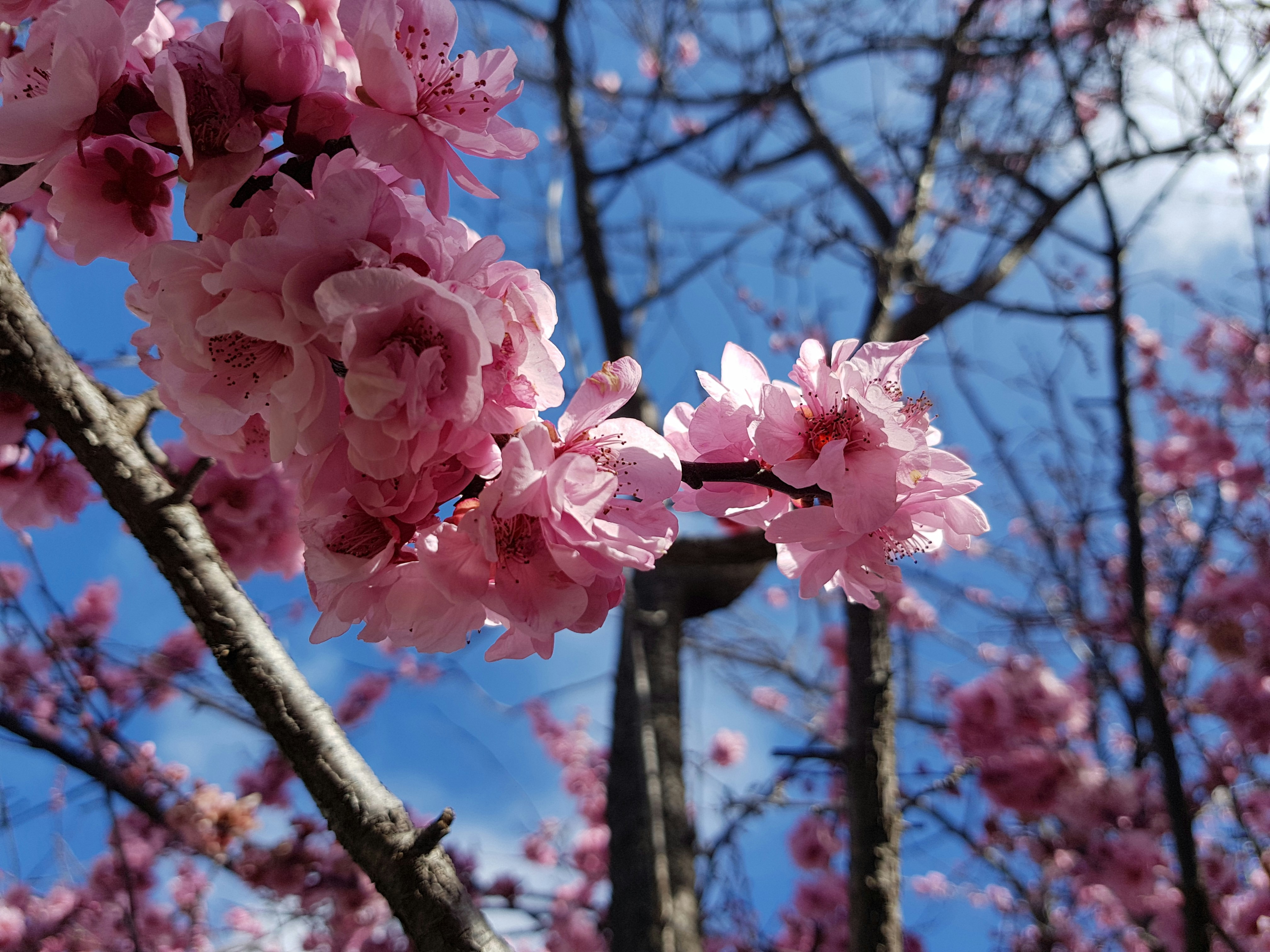 Photo by daniel_dimaria