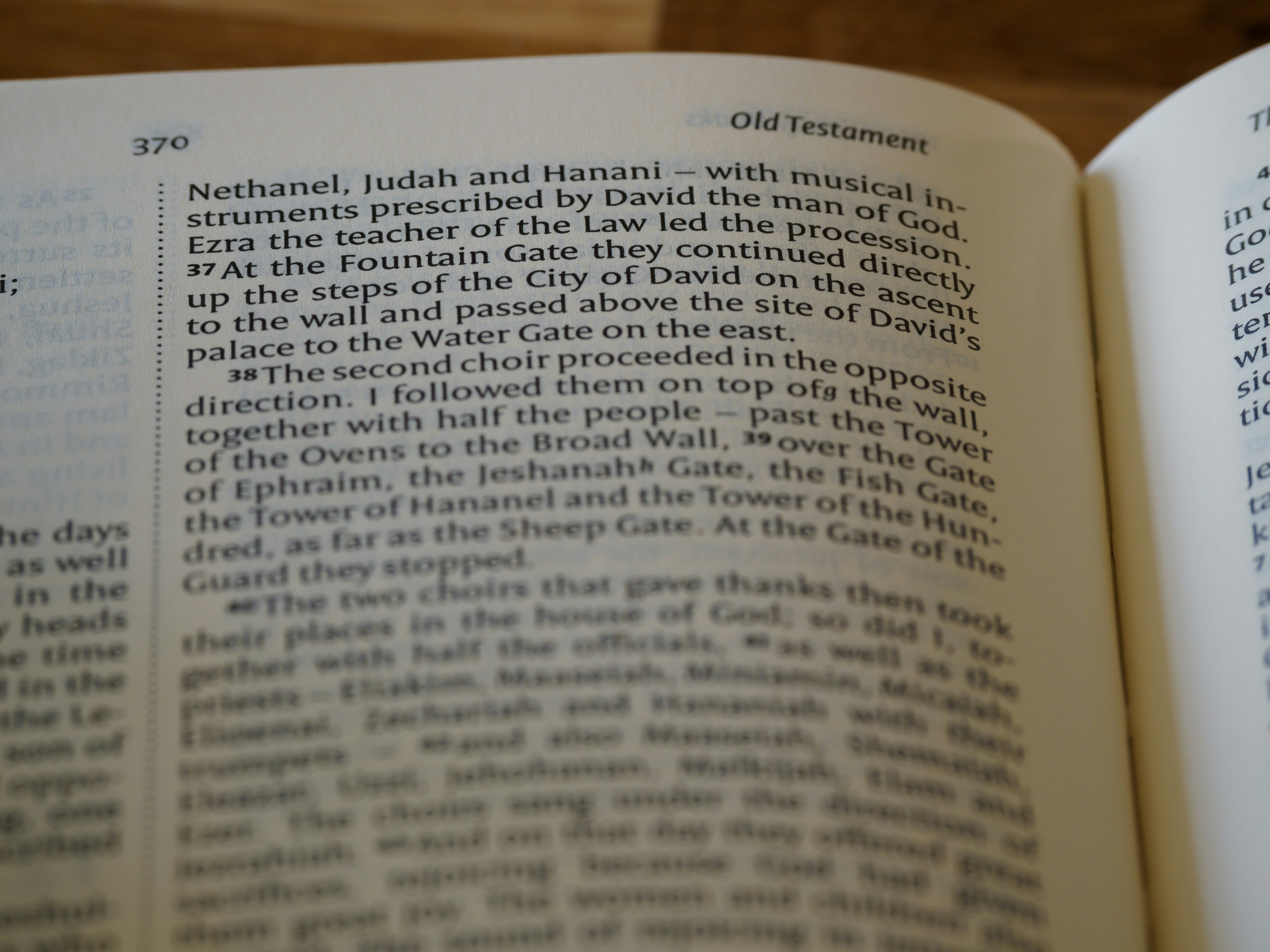 close up, bokeh, macro, blur, blurred background, close focus, bible, old testament, hebrew bible, christian, judaism, history, text, reading, bible study, devotions, text, NIV, New International Version, type, typography, canon, christianity, holy scripture, holy bible, scripture, hebrew bible, historical, nehemiah, second temple period, persian judeah, artaxerxes 1, persia, נְחֶמְיָה, Nəḥemyāh, cup bearer to the king, 