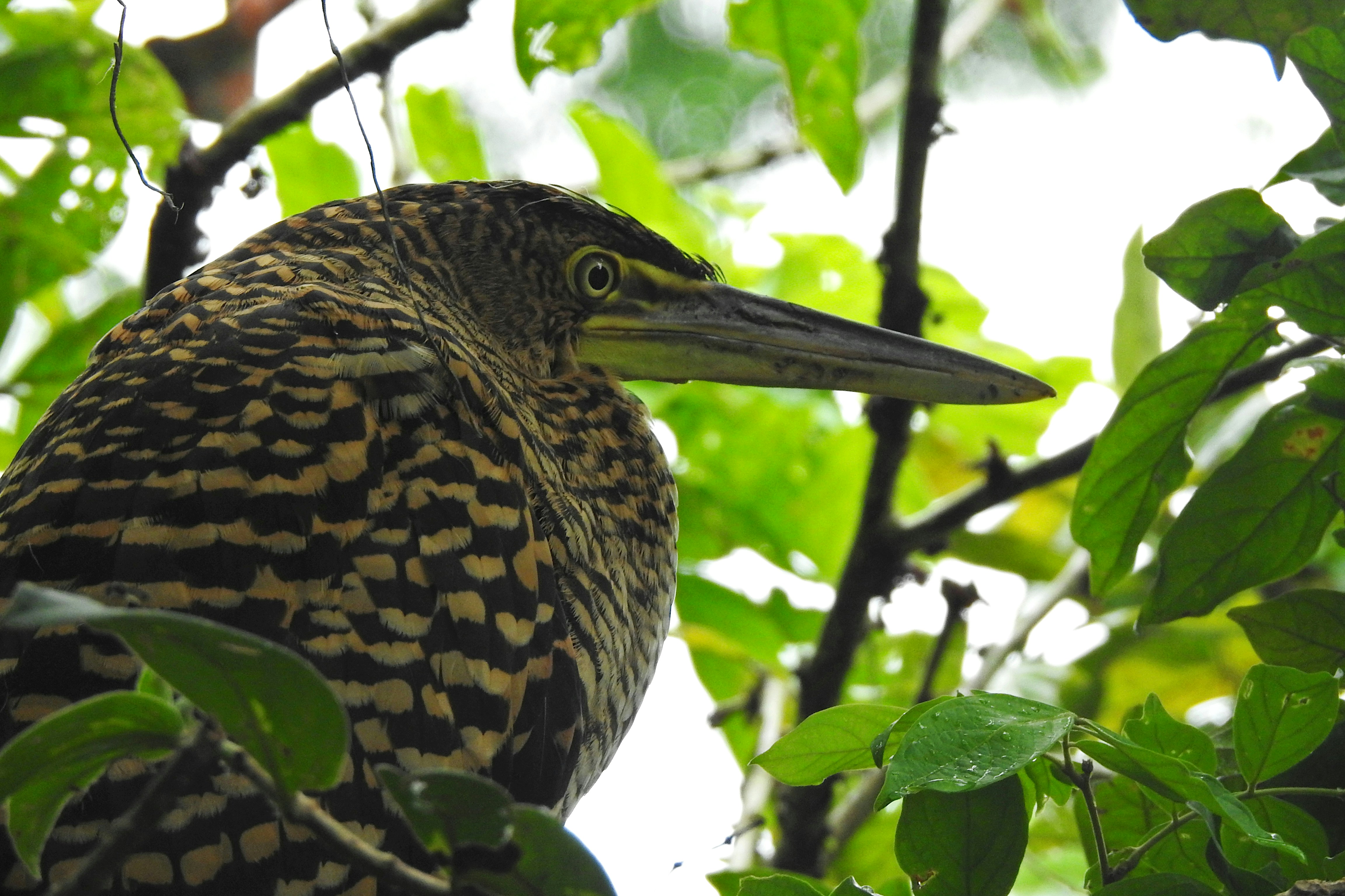 Photo by artemisdesign