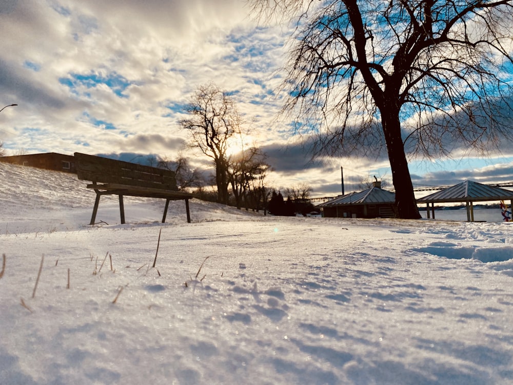 a bench sitting in the snow next to a tree