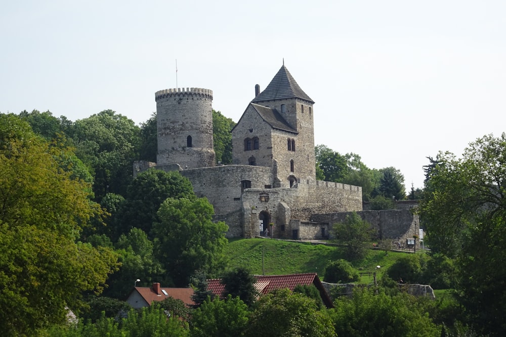 a castle on top of a hill surrounded by trees