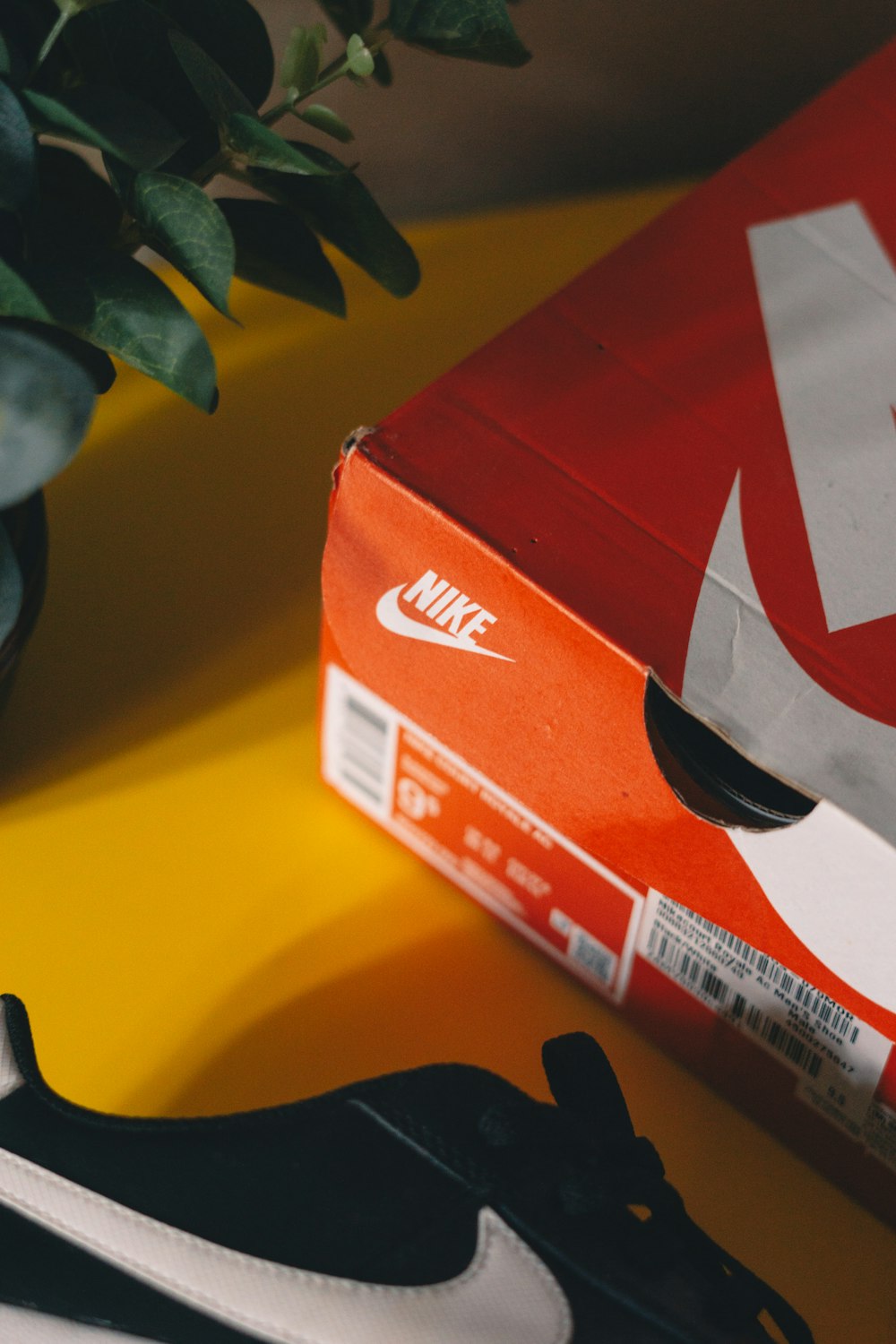 A box of nike shoes next to a plant photo – Free Box Image on Unsplash
