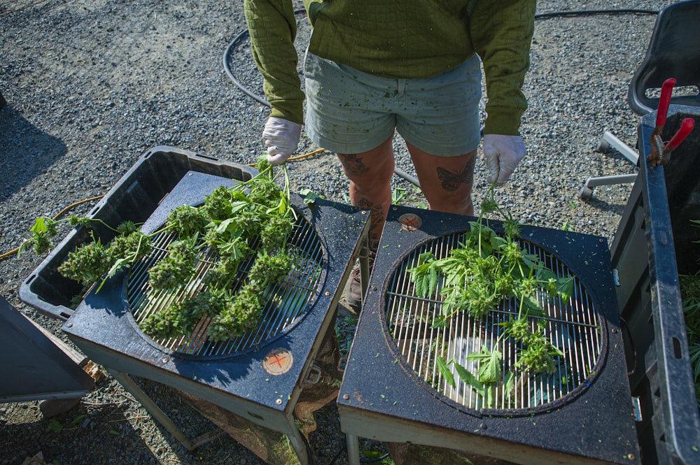 a person grilling broccoli on top of a grill