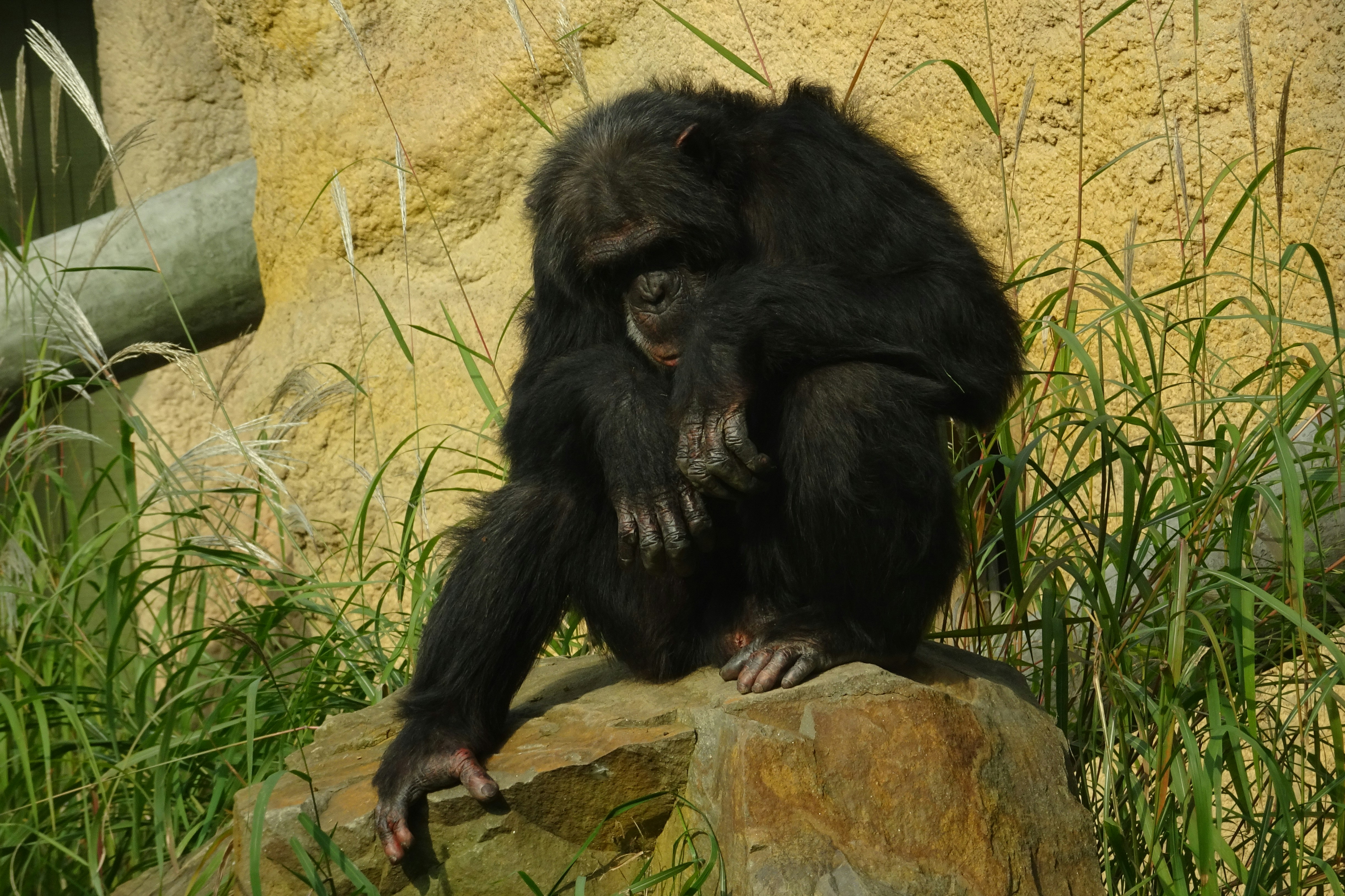 Photo by 12photography