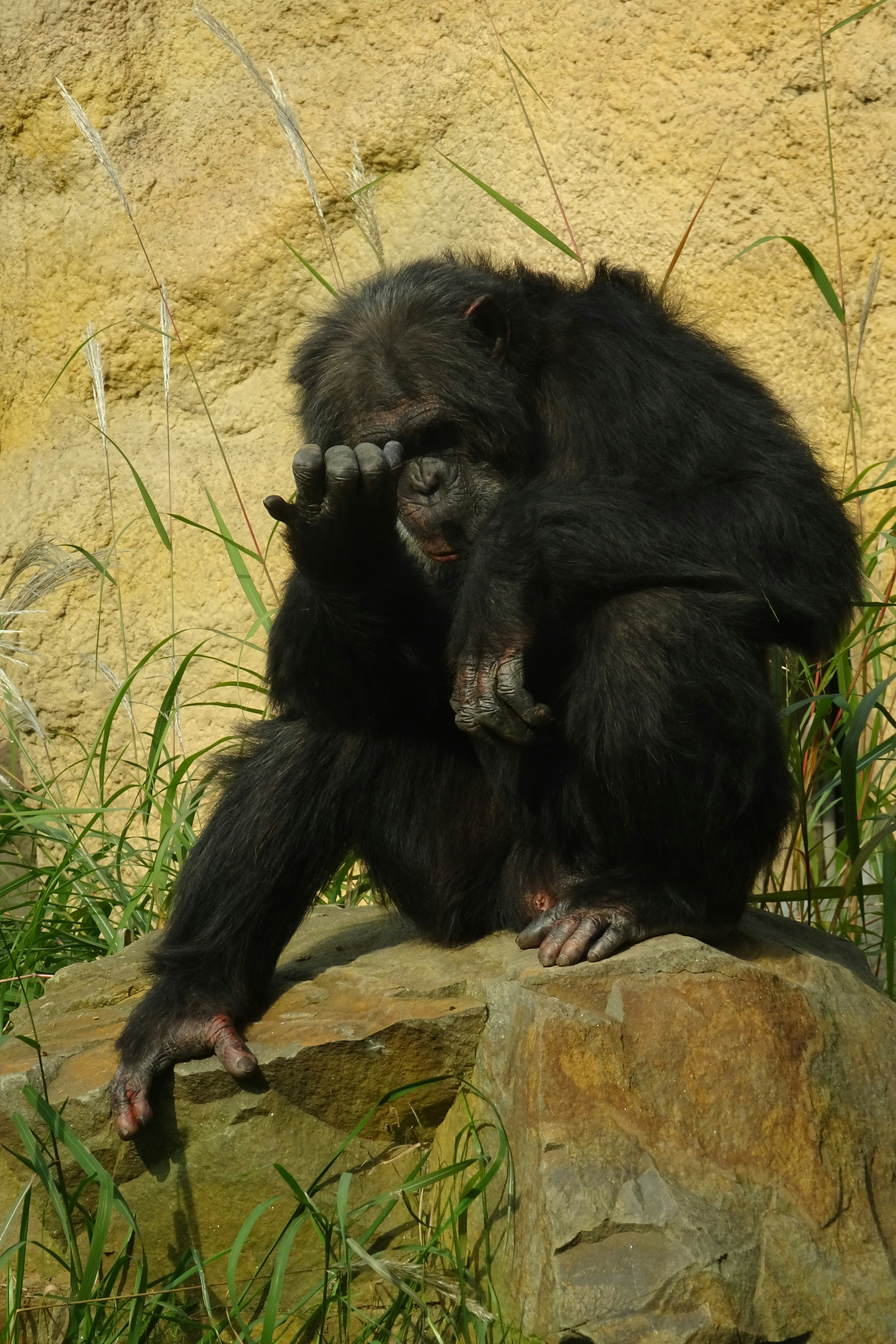 Photo by 12photography