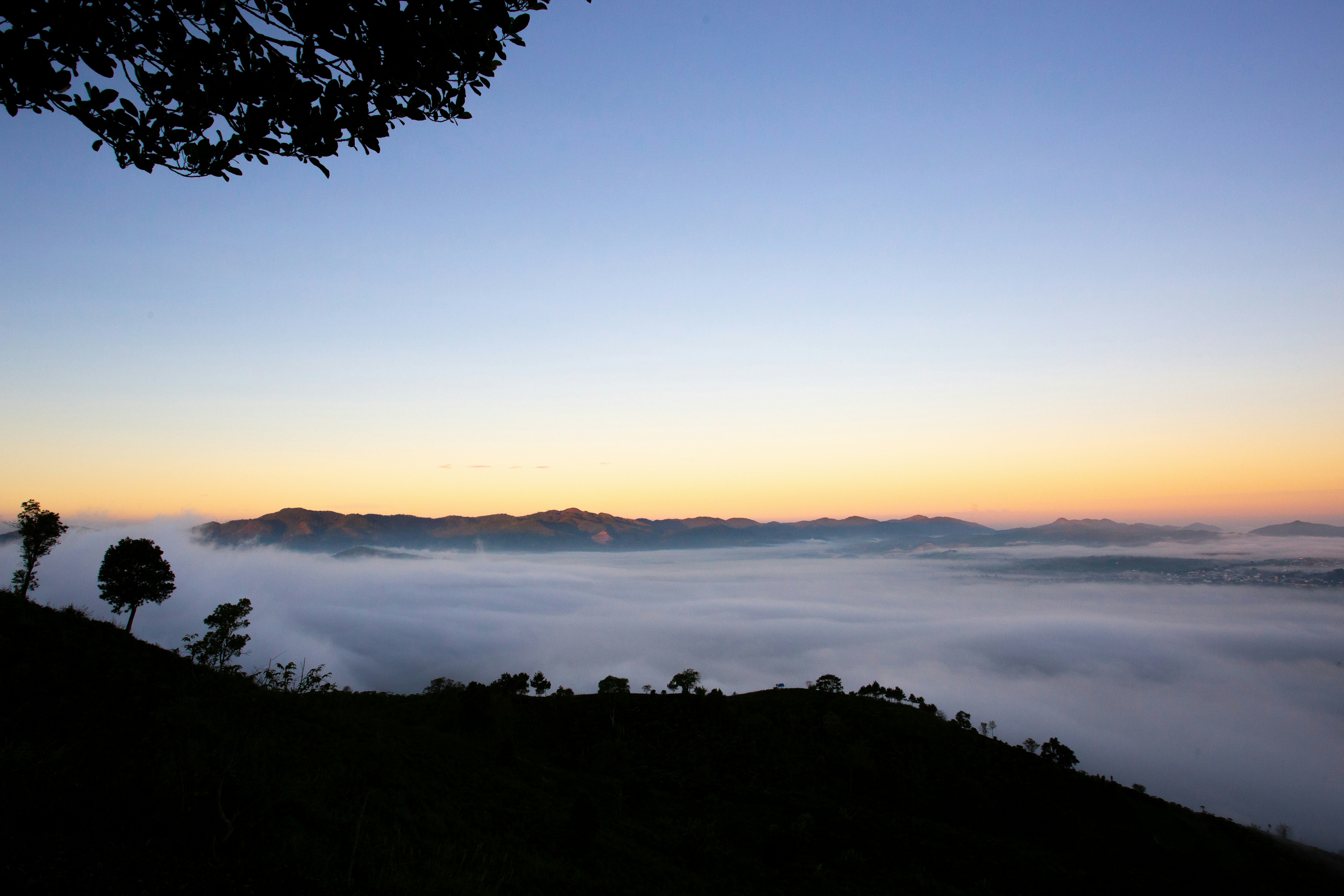 Photo by quangdieu195