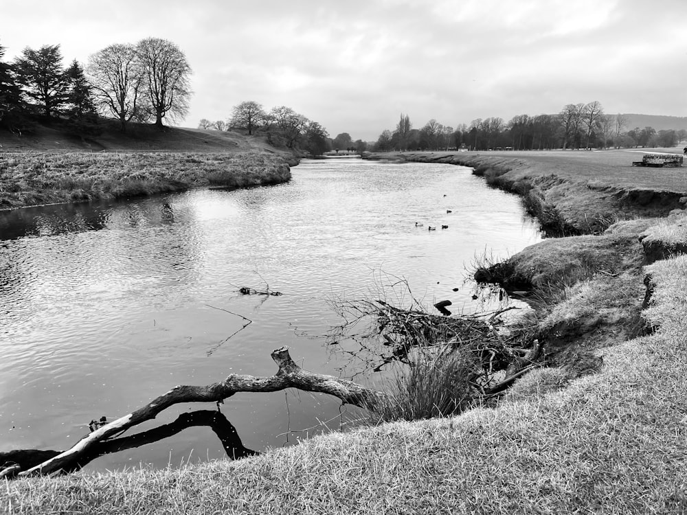 a black and white photo of a river