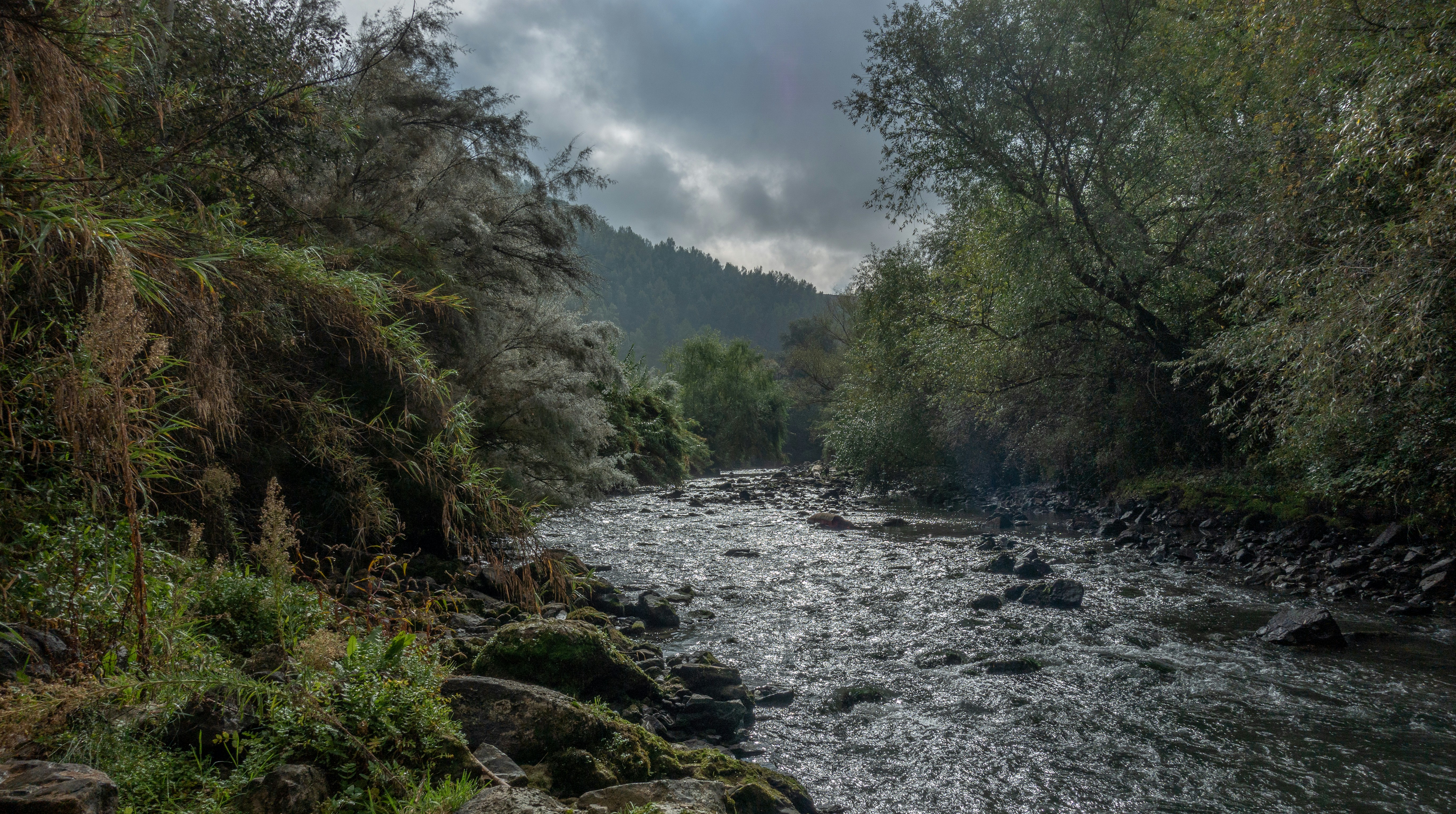 Photo by kristofer2482