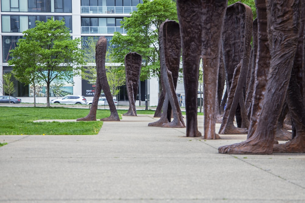 a bunch of trees that are standing in the grass