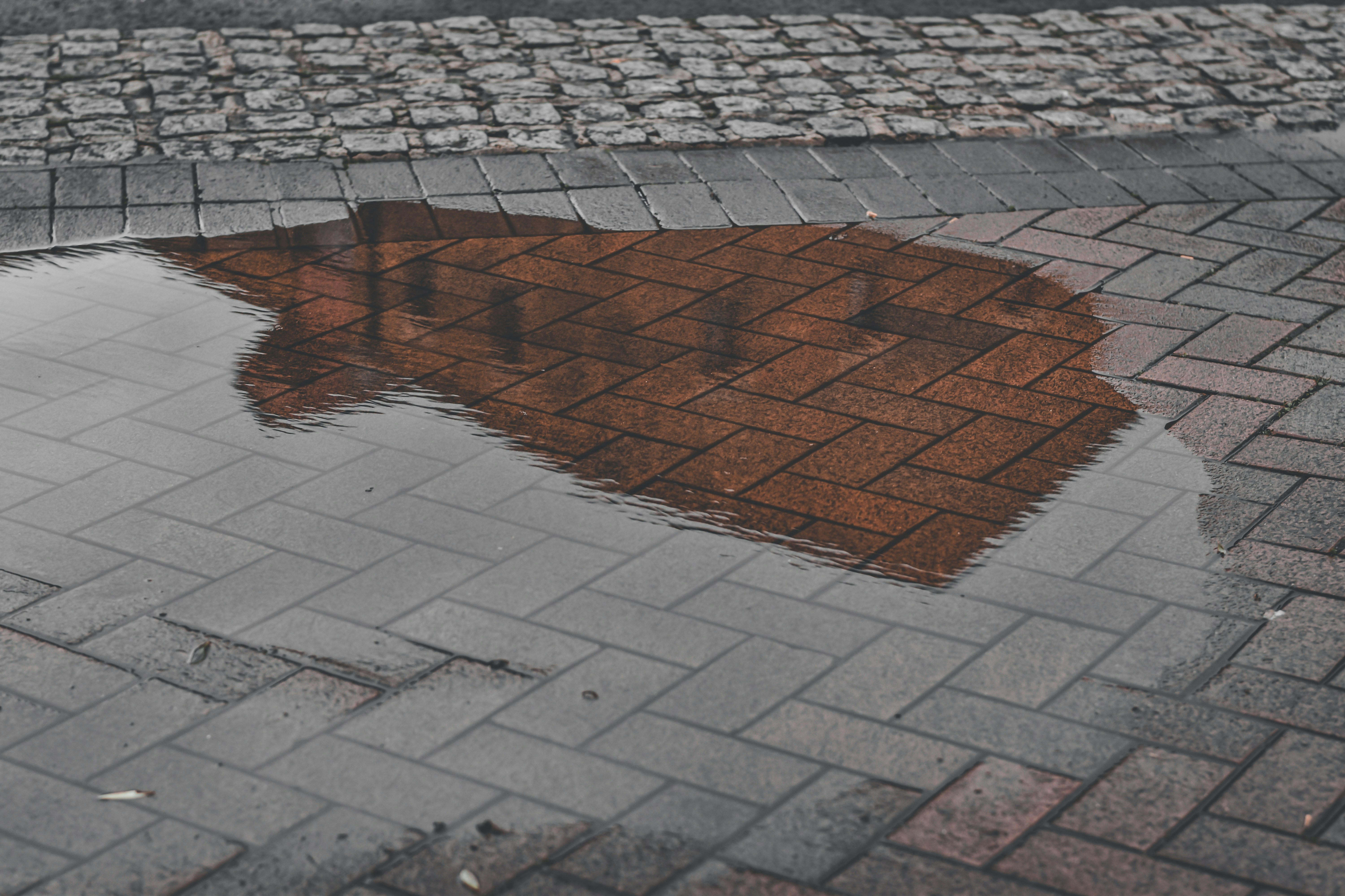 Photo by elliottmason