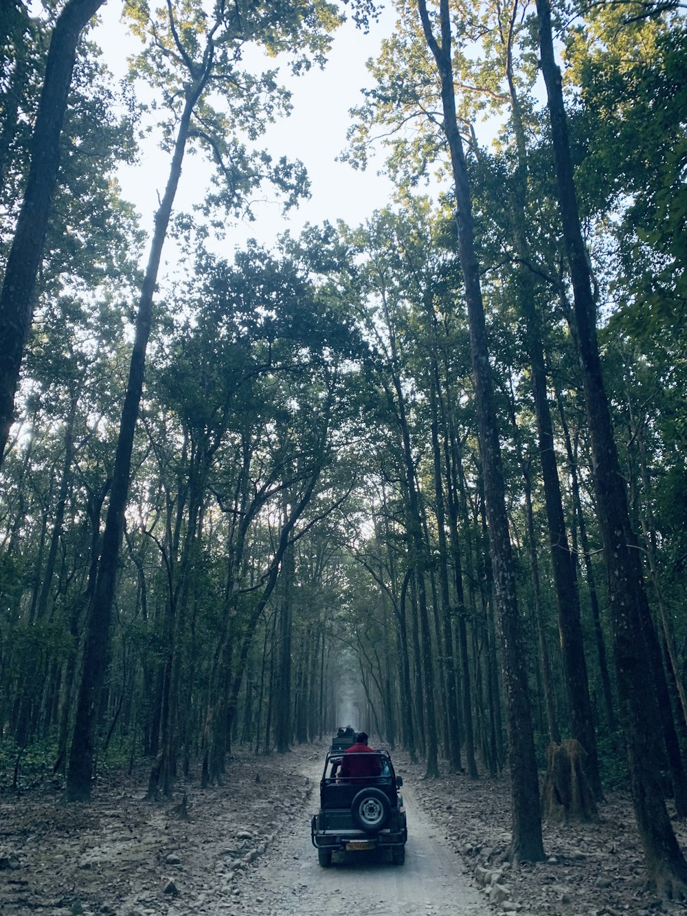 a car driving down a dirt road through a forest