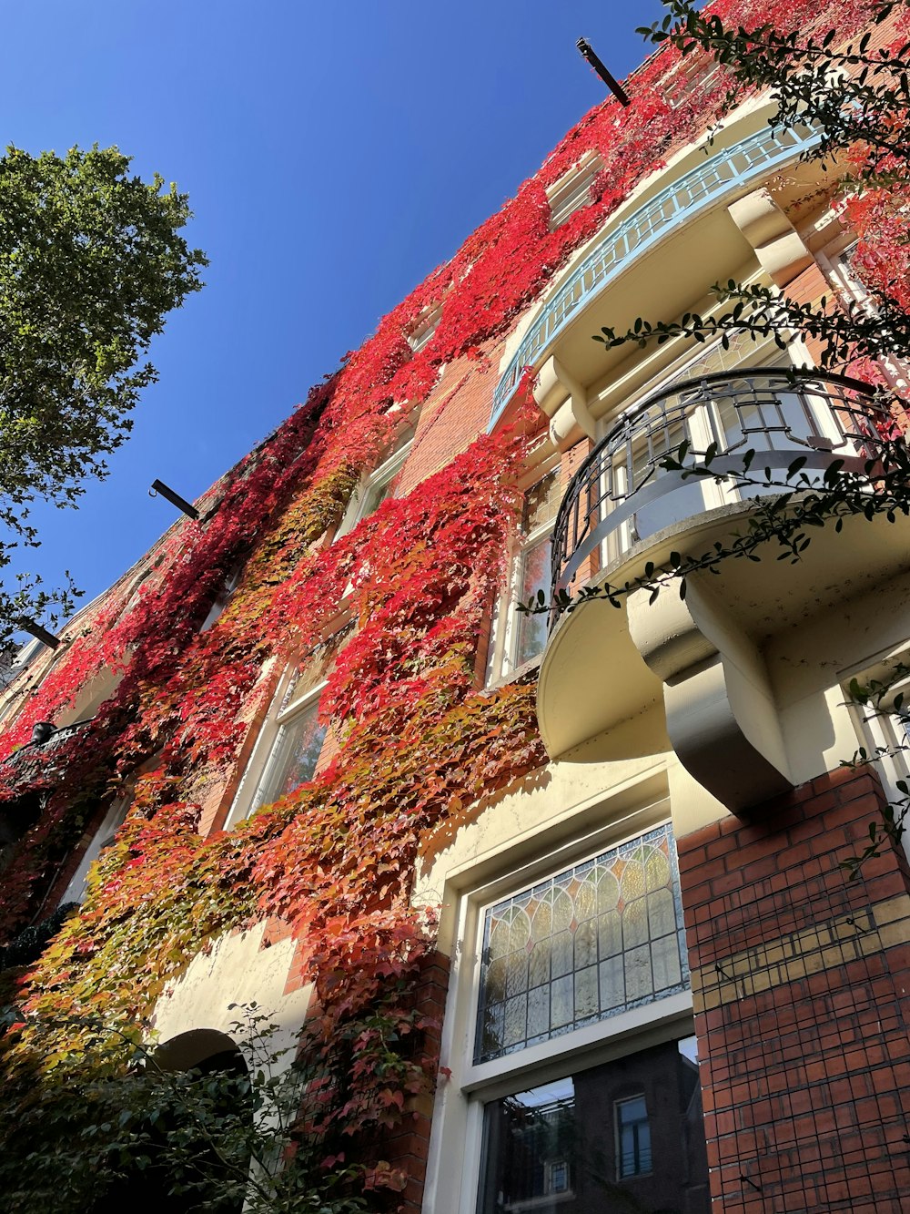 a tall building with lots of red leaves on it