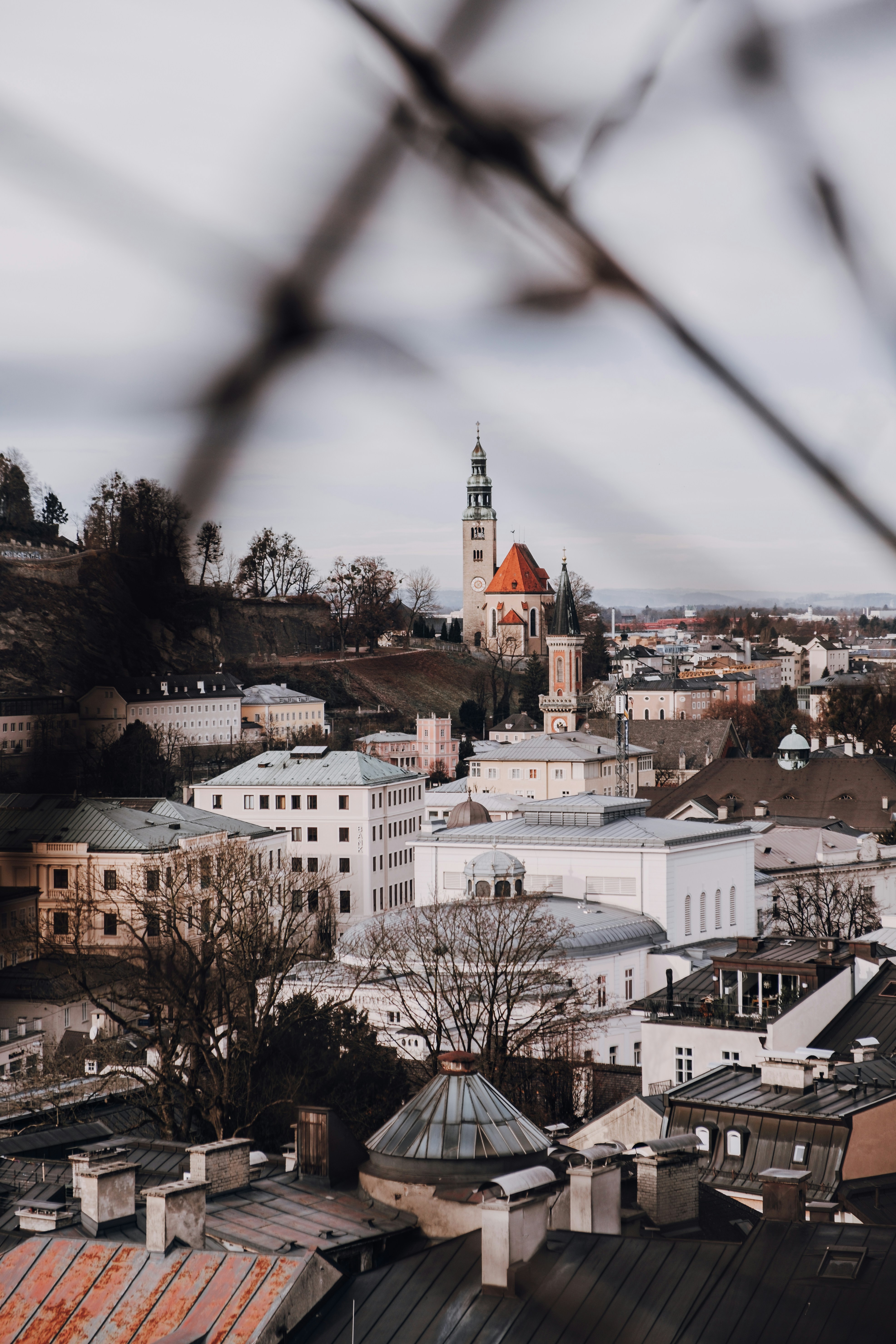 Photo by daniel_sarkady