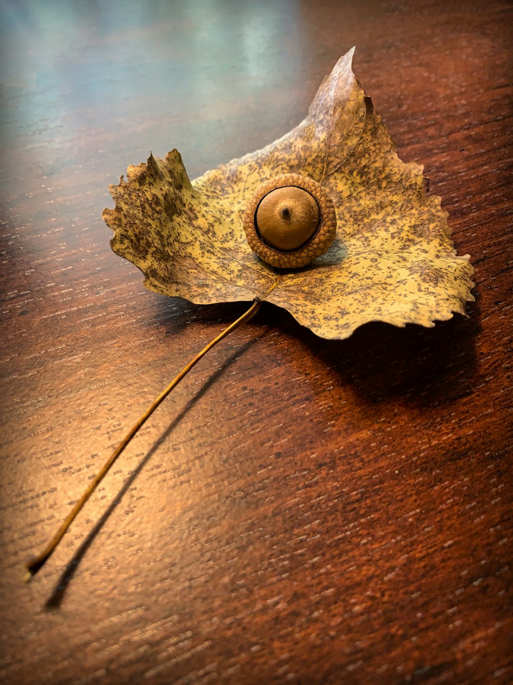 a leaf with a button on it sitting on a table
