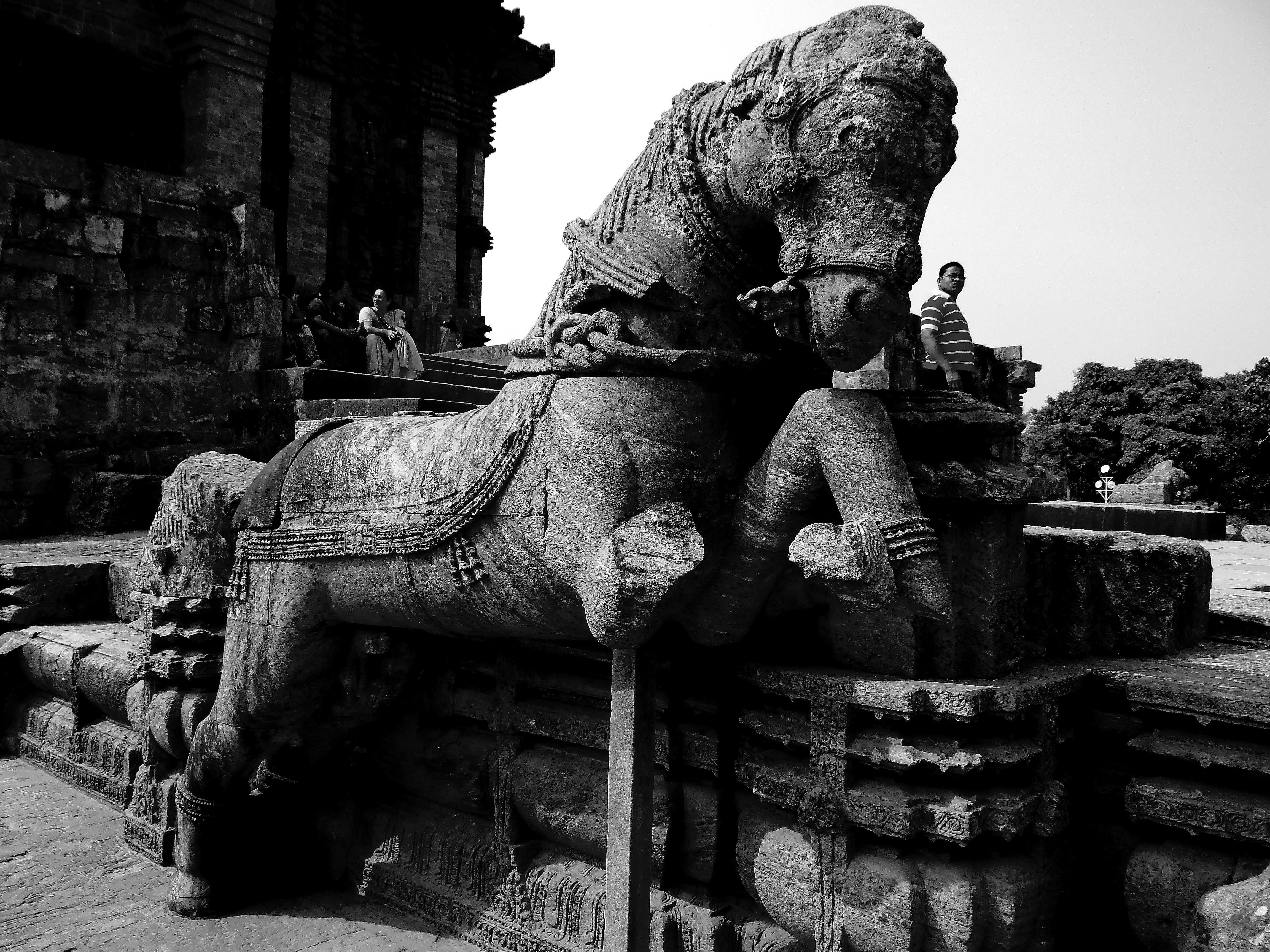 ein Schwarz-Weiß-Foto einer Pferdestatue