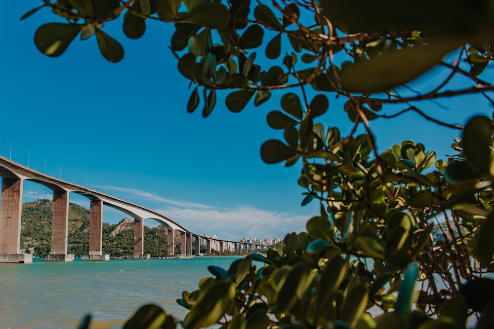 eine große Brücke, die sich über ein großes Gewässer spannt