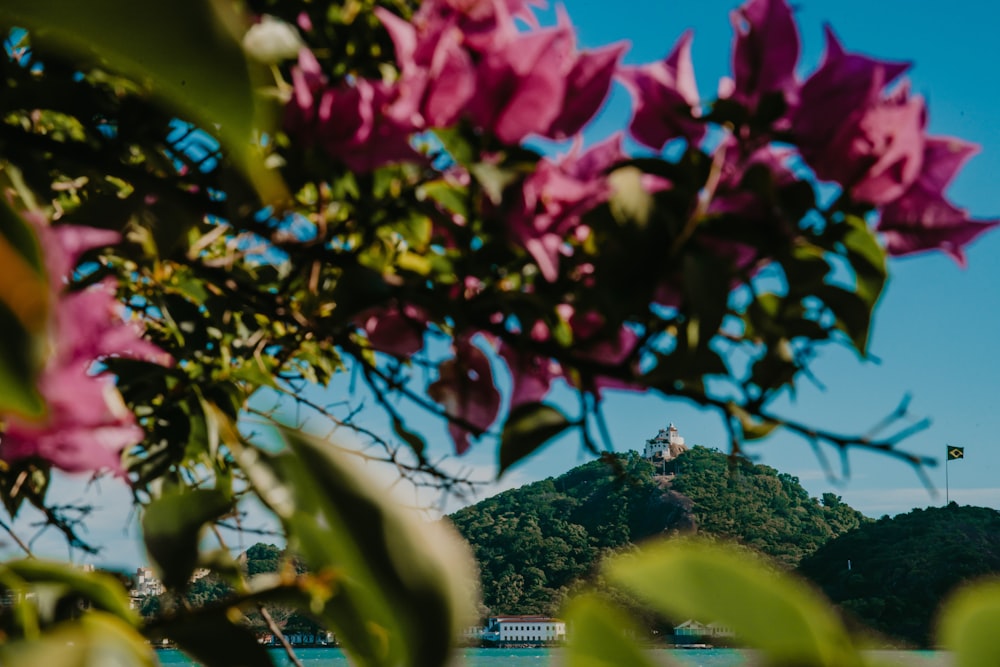 a view of a hill and a body of water