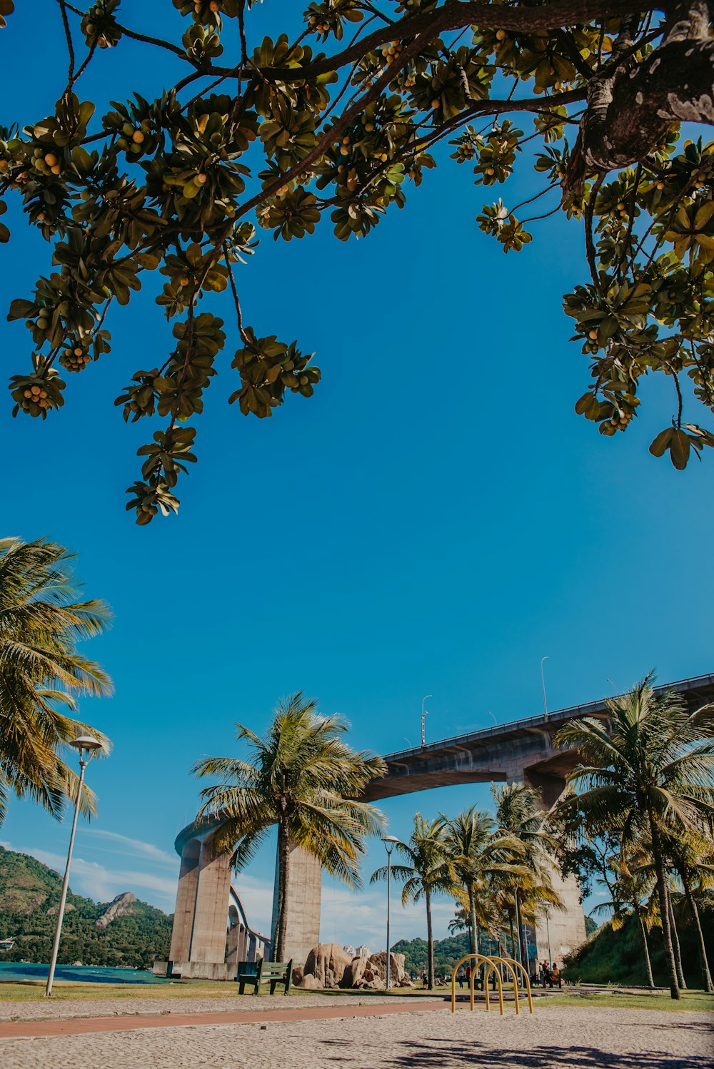 a bridge over a body of water surrounded by palm trees