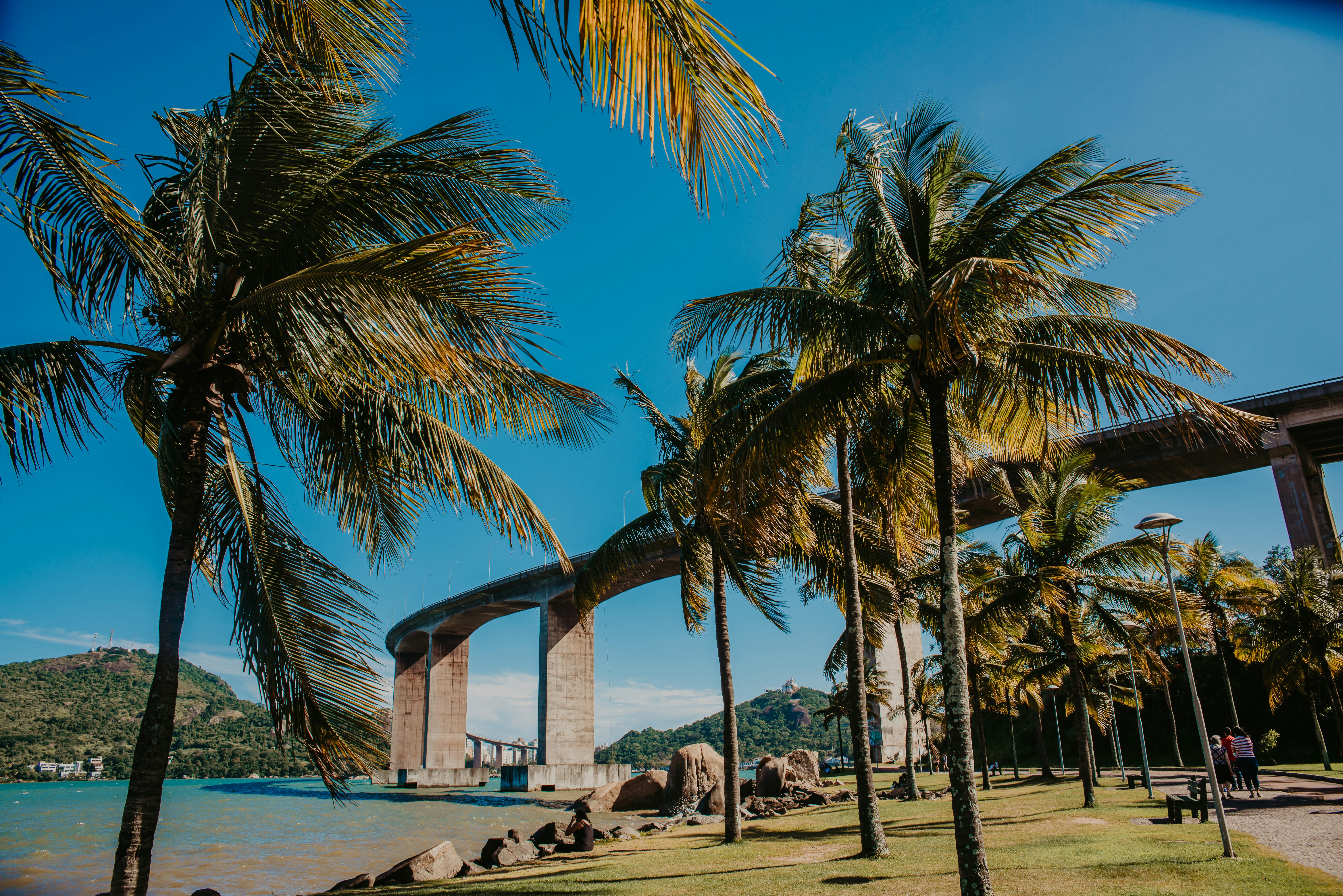 Photo by gerginphotography