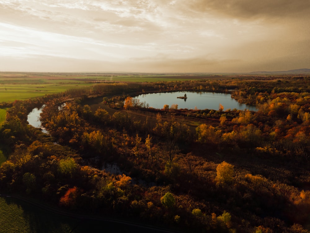 a large body of water surrounded by trees