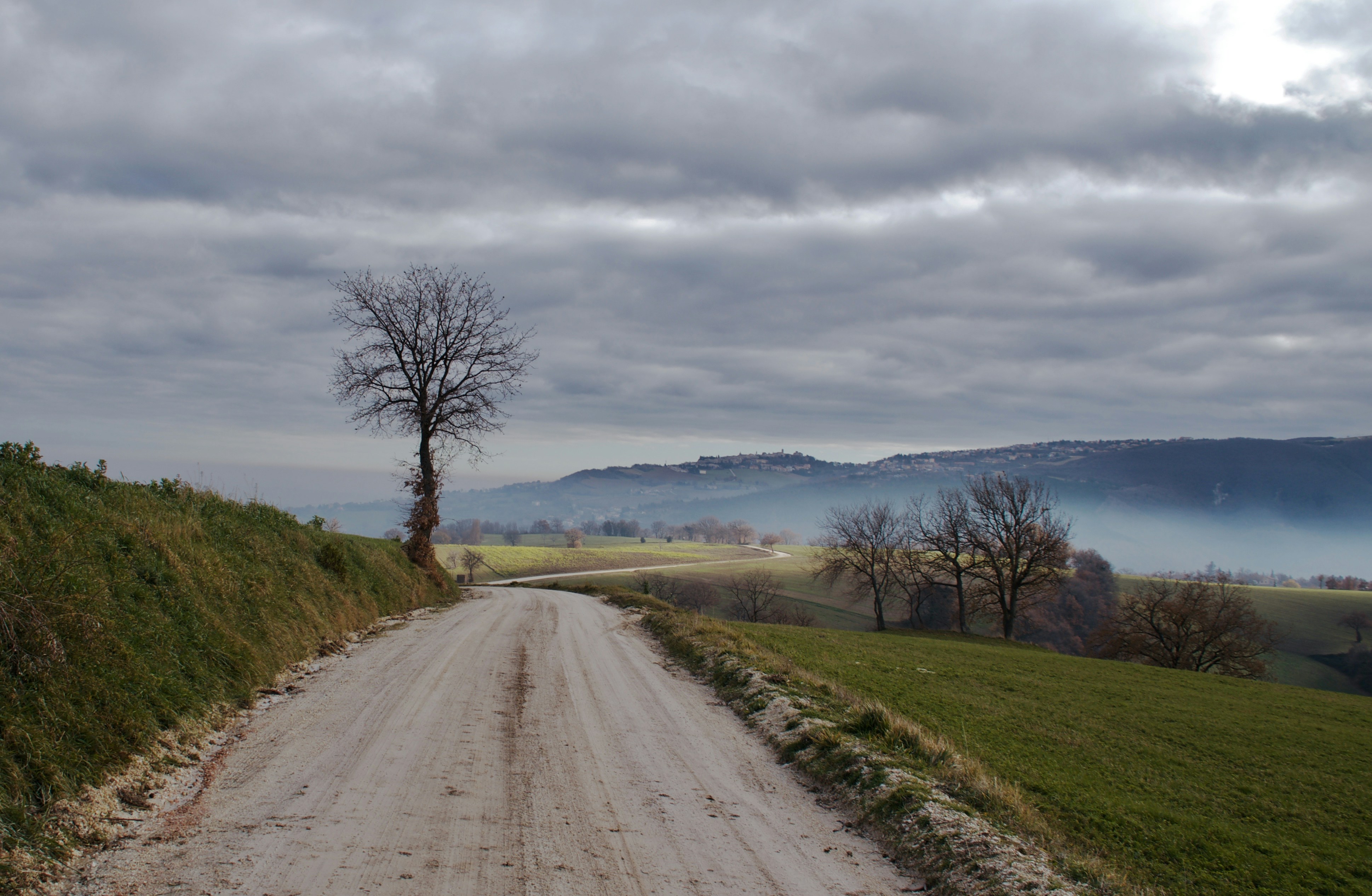 Photo by mariobeducci