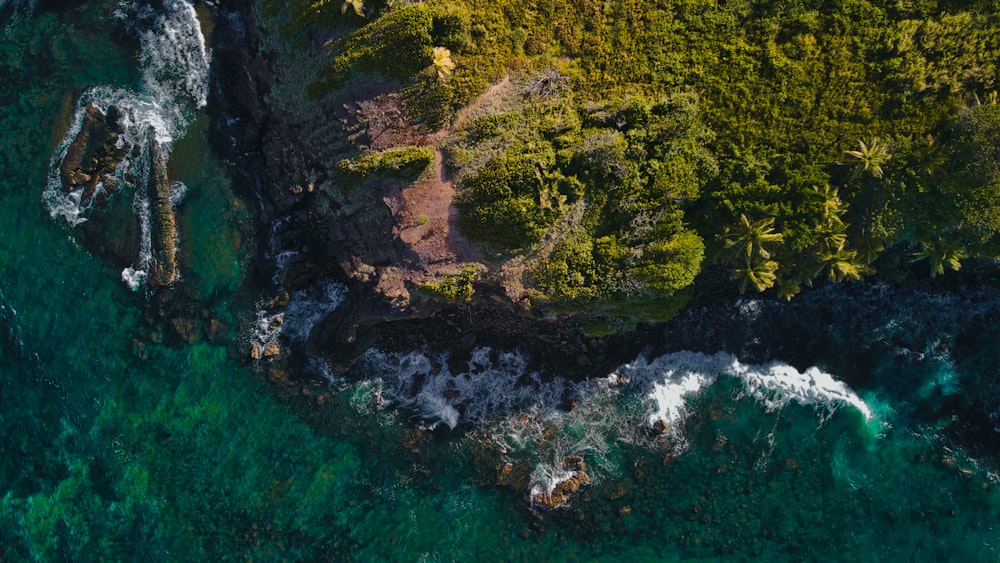 an aerial view of a lush green forest next to a body of water