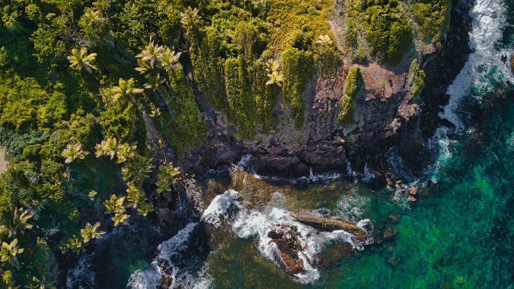an aerial view of the ocean and trees