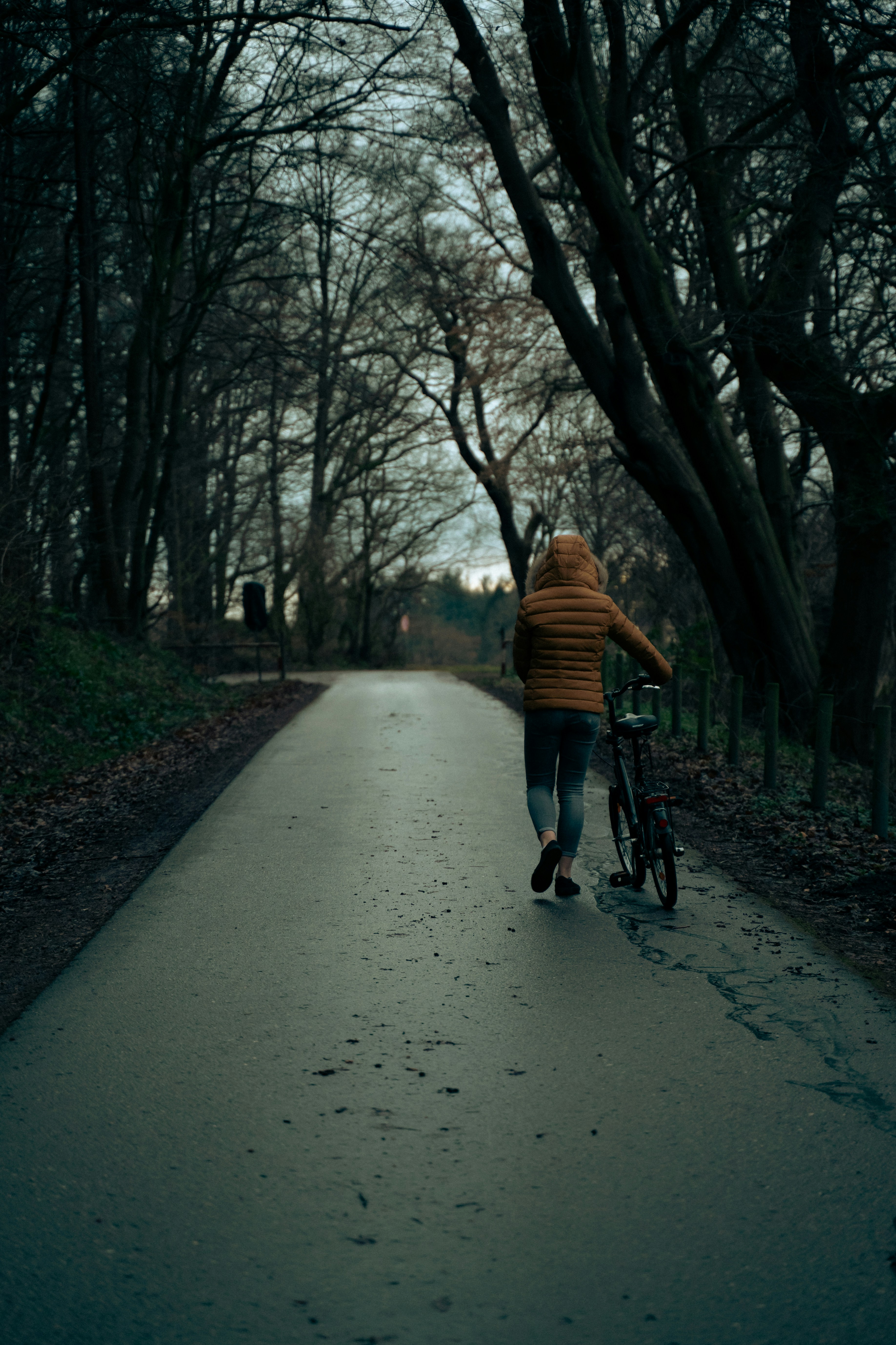 a person walking a bike down a road