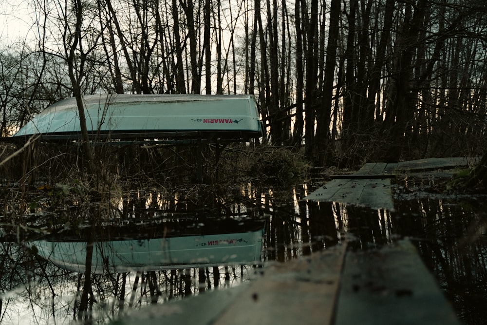 a boat sitting in the middle of a swamp