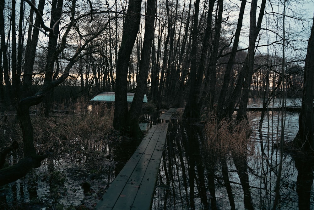 a wooden bridge over a body of water surrounded by trees