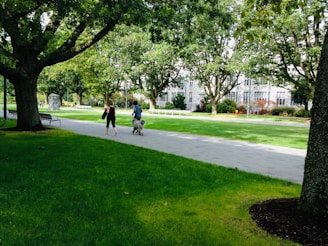 A lush, green park setting with large trees providing ample shade. Two people are walking a dog on a paved path, and benches are scattered along the walkway. A large building is visible in the background, surrounded by greenery.