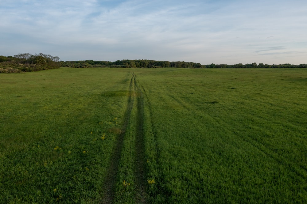 a wide open field with a trail in the middle of it
