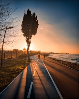 yalova
