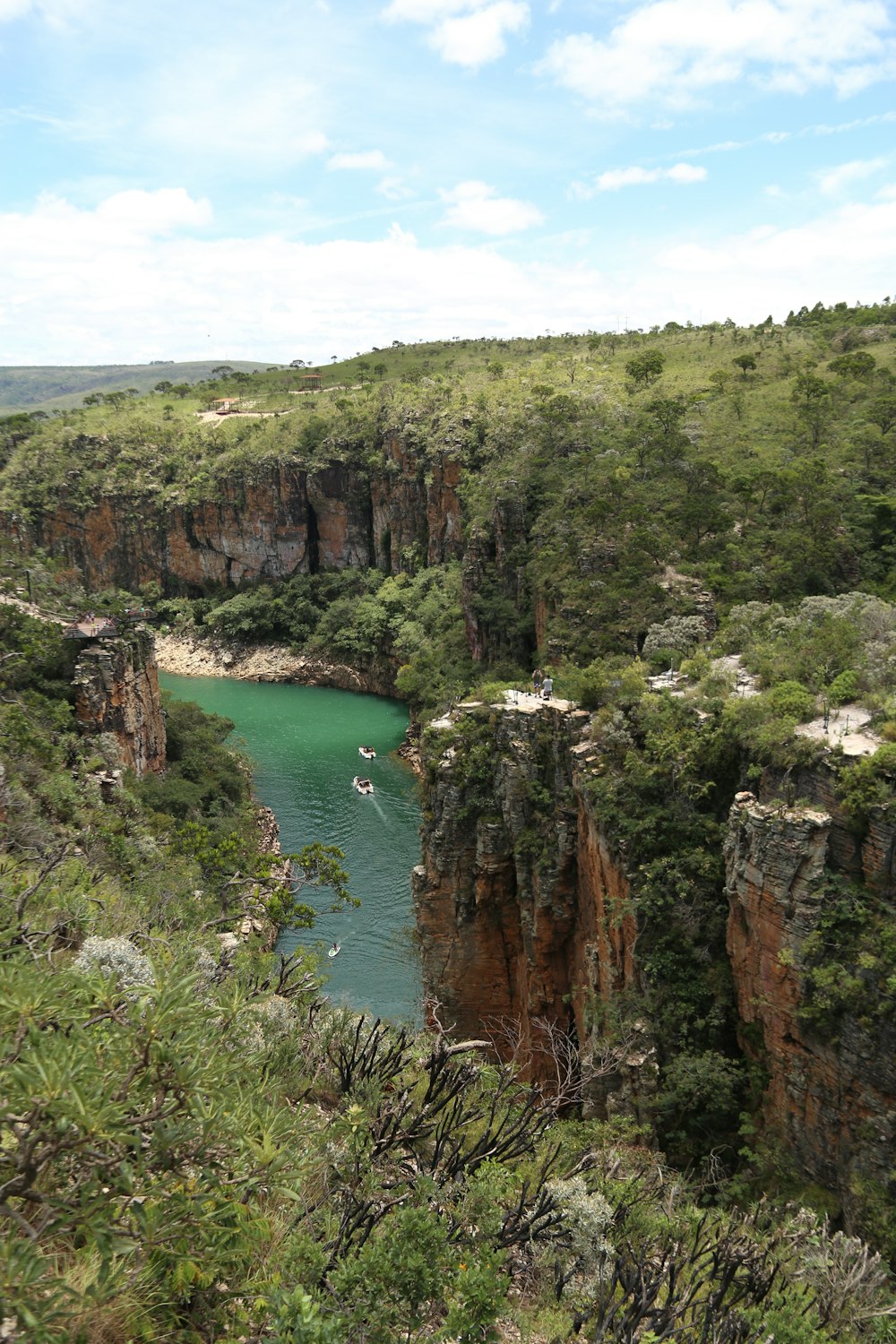 Un río en medio de un exuberante valle verde