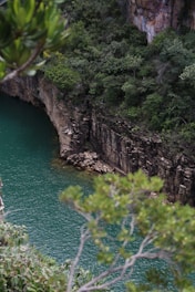 a large body of water surrounded by trees