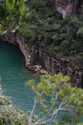 a large body of water surrounded by trees