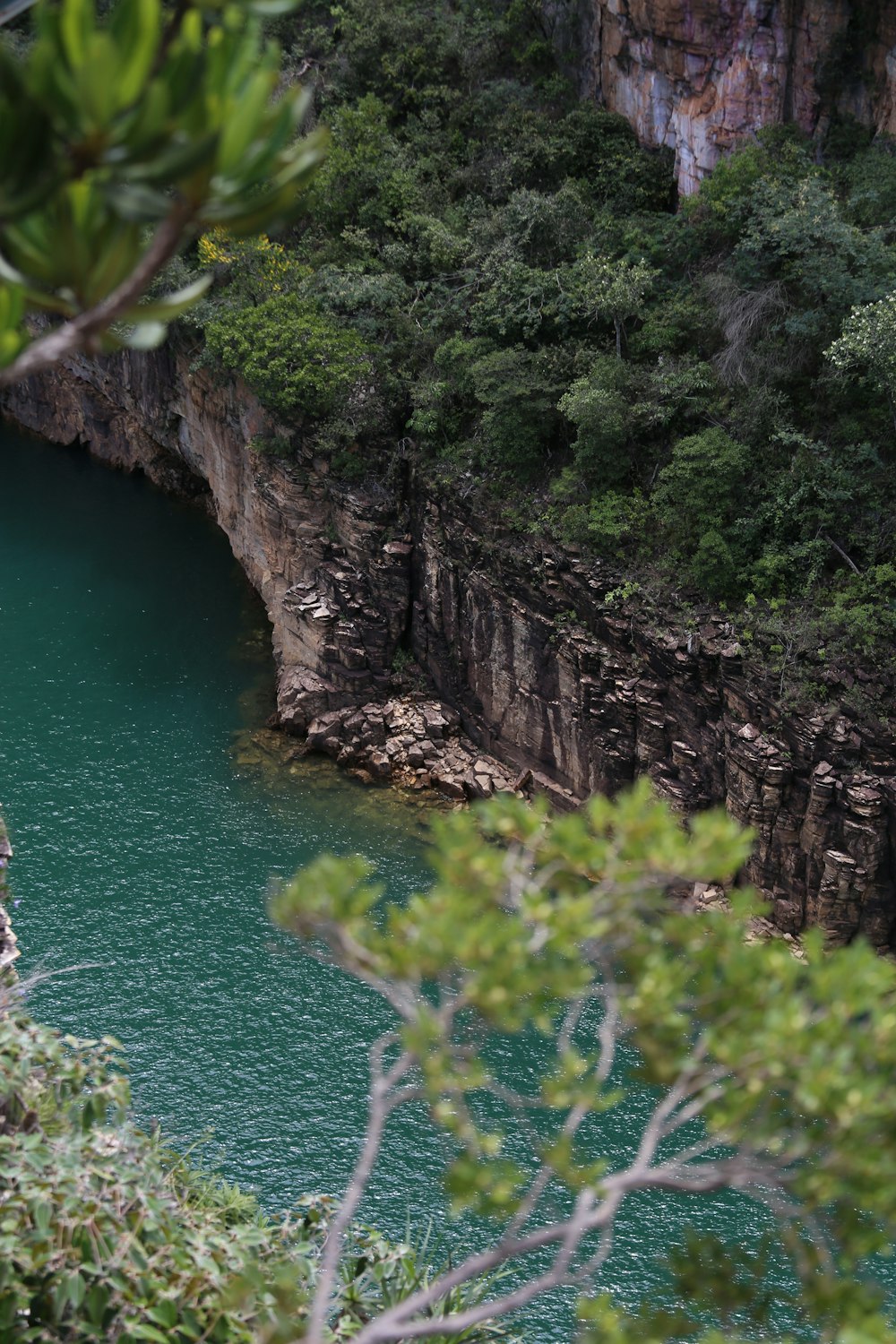 un grande specchio d'acqua circondato da alberi